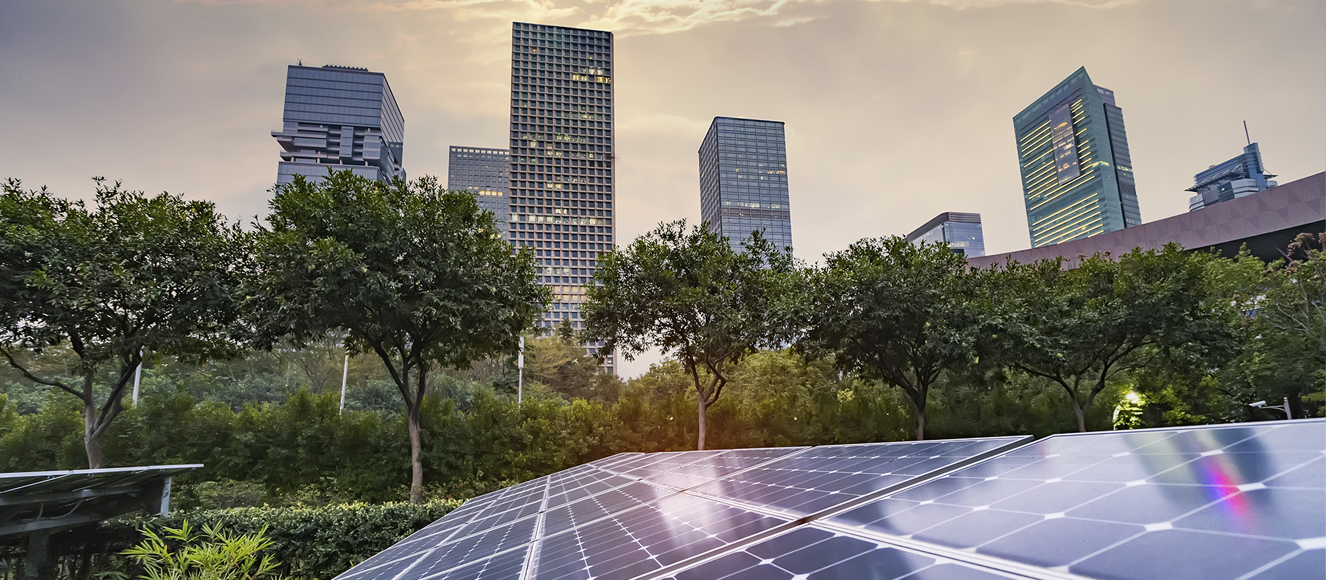 Landscape of buildings and solar panels